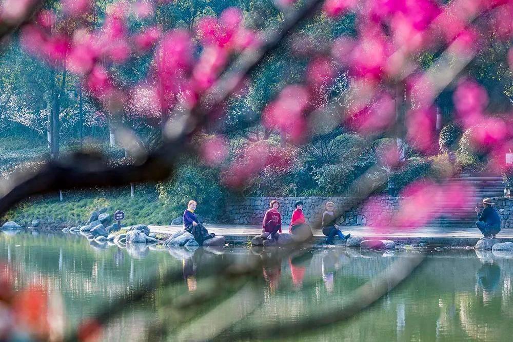 生活中，哪些“细节”可以看出一个人“很不老实”？游戏画面