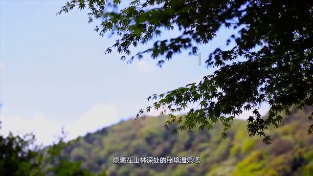 天堂契约
