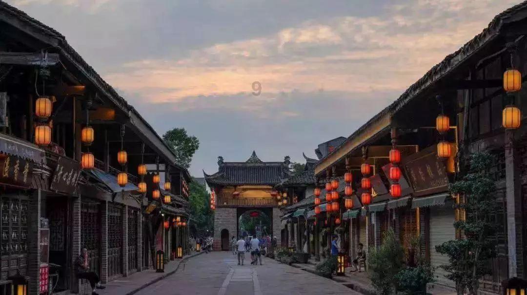学习插花艺术