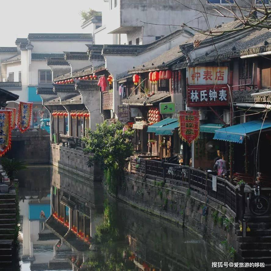 饿狮救援